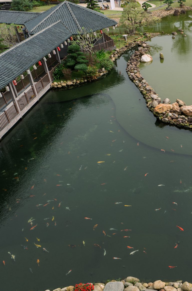 Tsubaki Deluxe Double/Twin With Koi Lake View